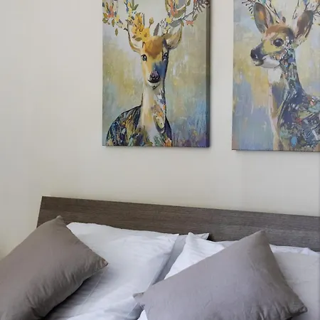 Apartment Letcom *